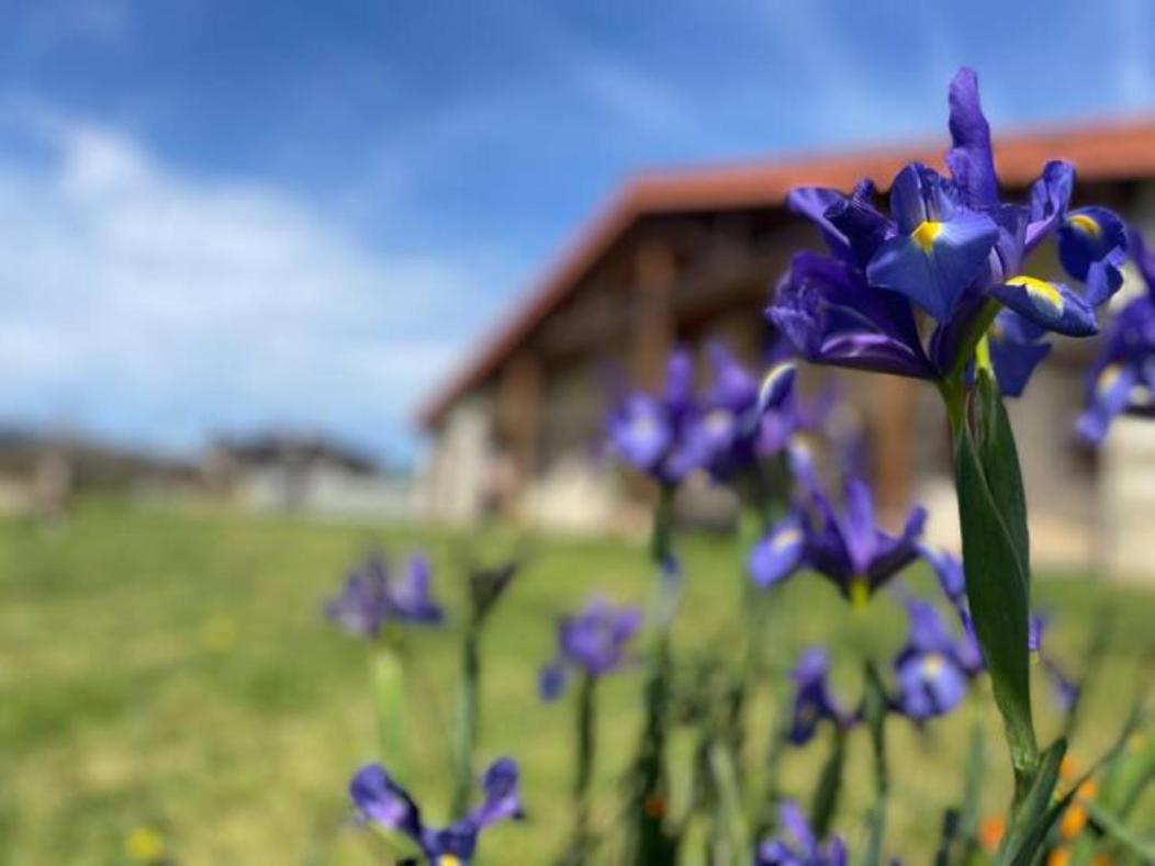Ven Y Disfruta En El Corazon De Bizkaia-urdaibai Сasa de vacaciones