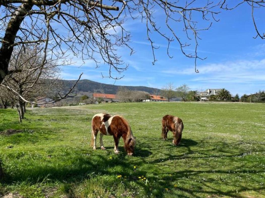 Ven Y Disfruta En El Corazon De Bizkaia-urdaibai Gautegiz Arteaga