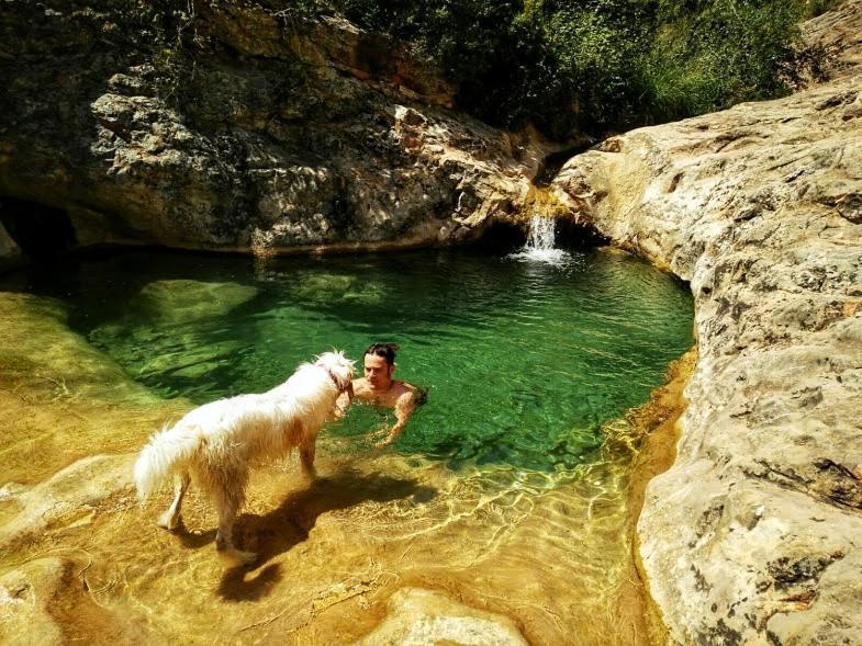 Country house Cal Perdigues De Pet Friendly Boada