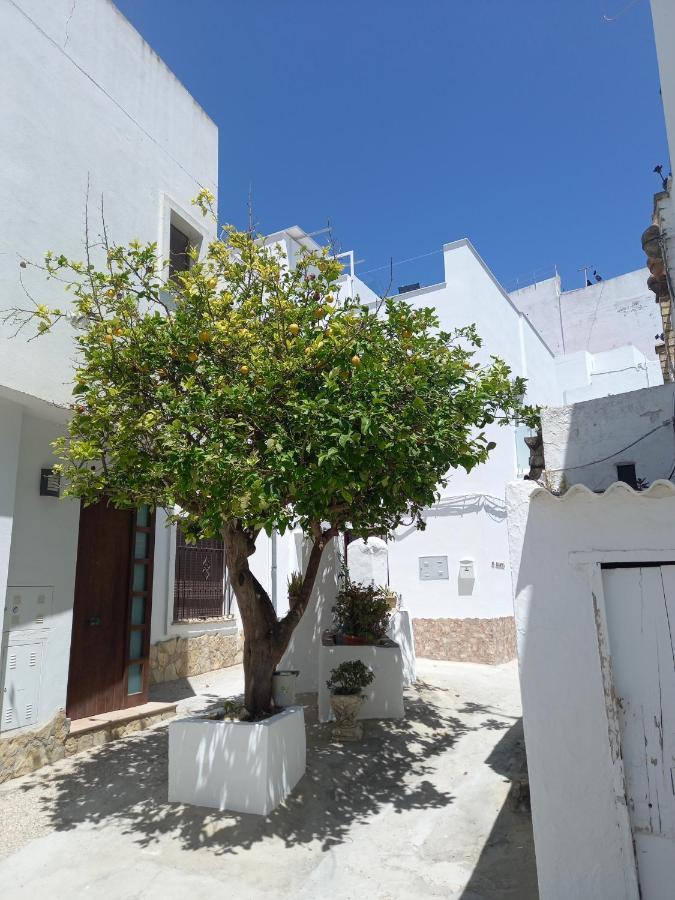 Brand New - Casa El Cuartel With Private Seaview Rooftop Conil De La Frontera