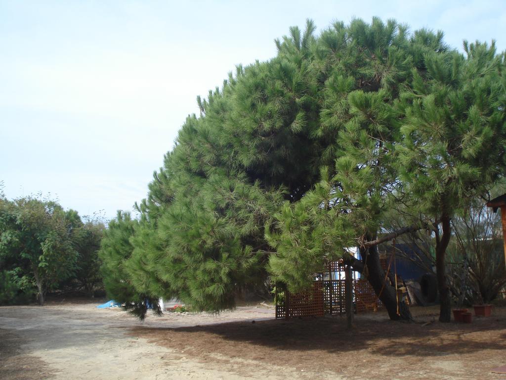Holiday home Dunas: Beachfront With Jacuzzis *