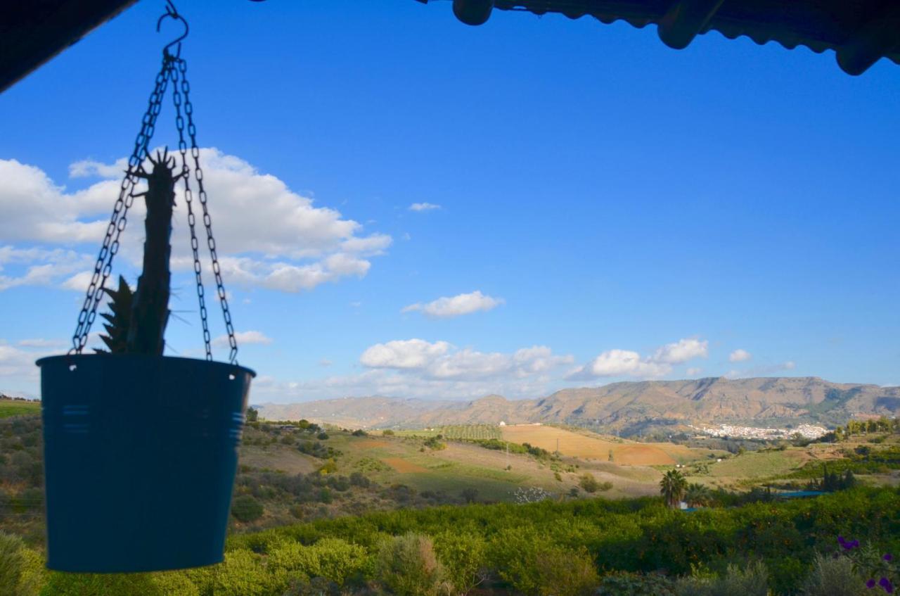 Finca Alegria De La Vida *