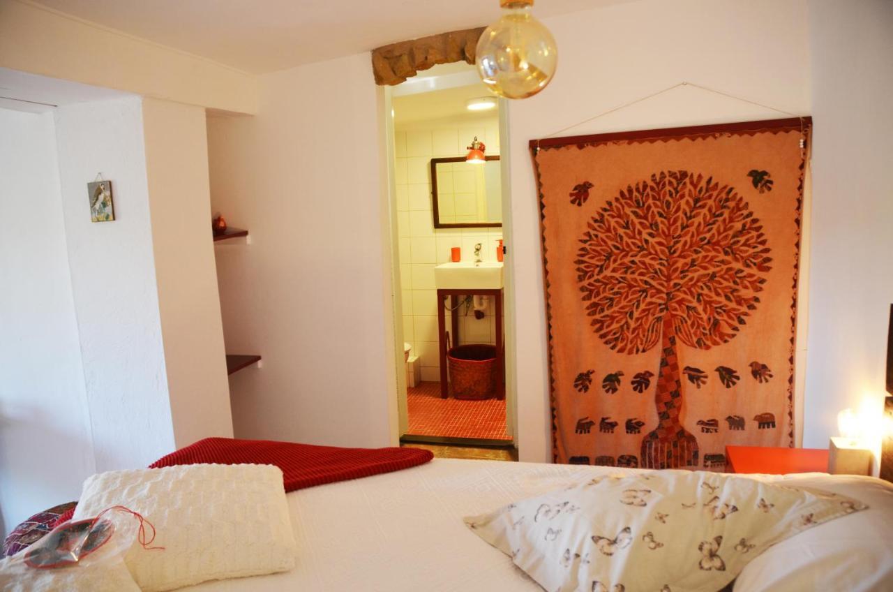 Bed and breakfast Finca Alegria De La Vida