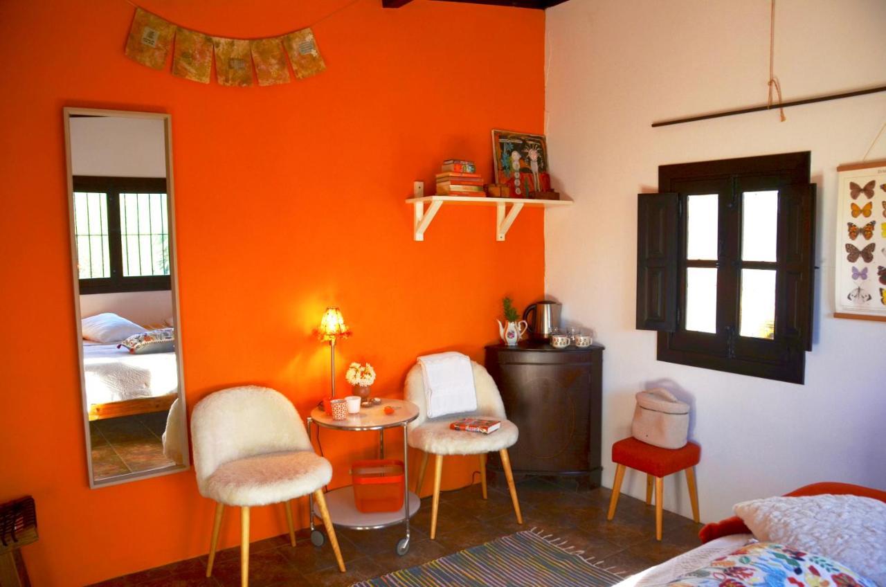 Finca Alegria De La Vida Bed and breakfast Pizarra