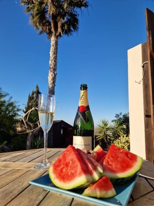 Doce Palmeras, Stunning In Beautiful Gardens Villa *