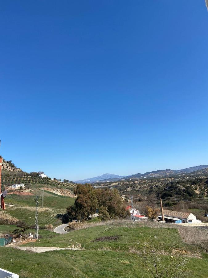 Casilla Solea Rural