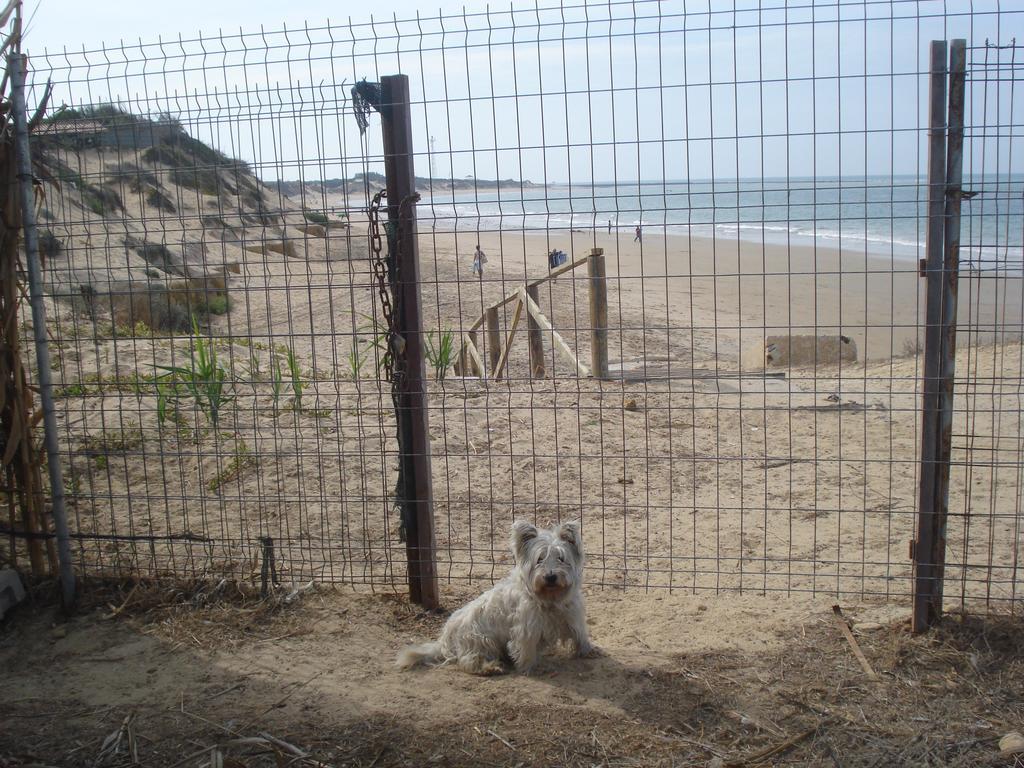 Dunas: Beachfront With Jacuzzis Holiday home Rota