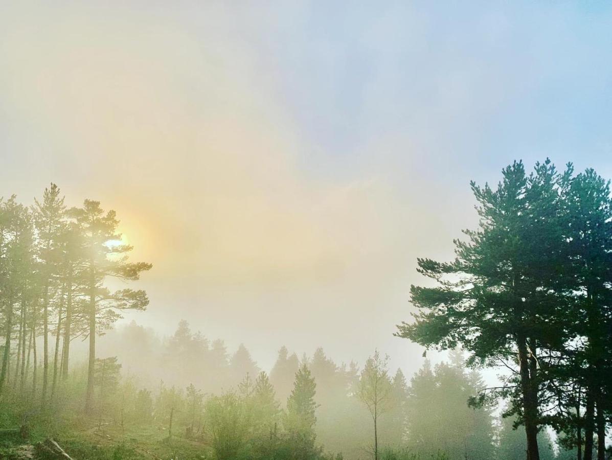 Minds & Mountains Eco Hotel La Molina (Girona)