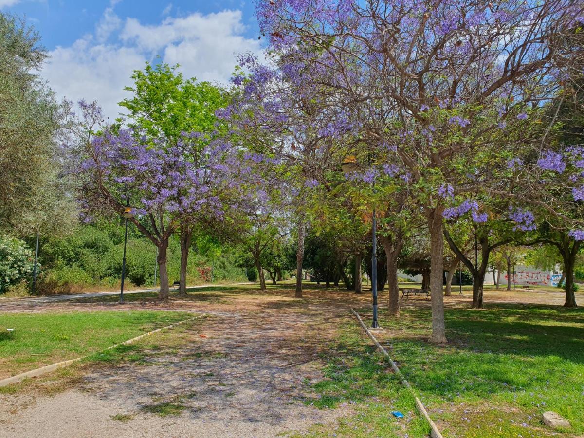 El.paraiso, * Torrevieja