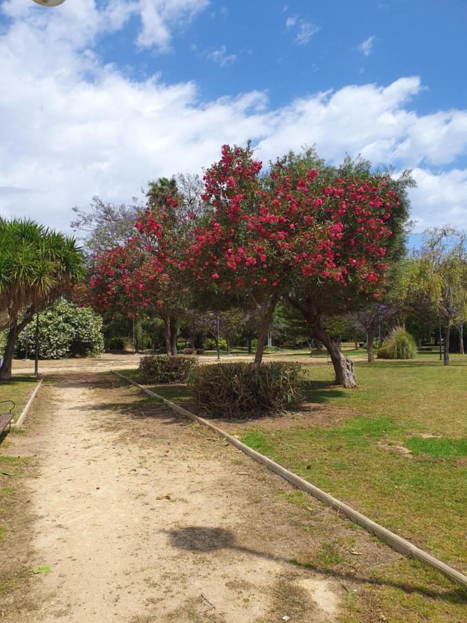 El.paraiso, *