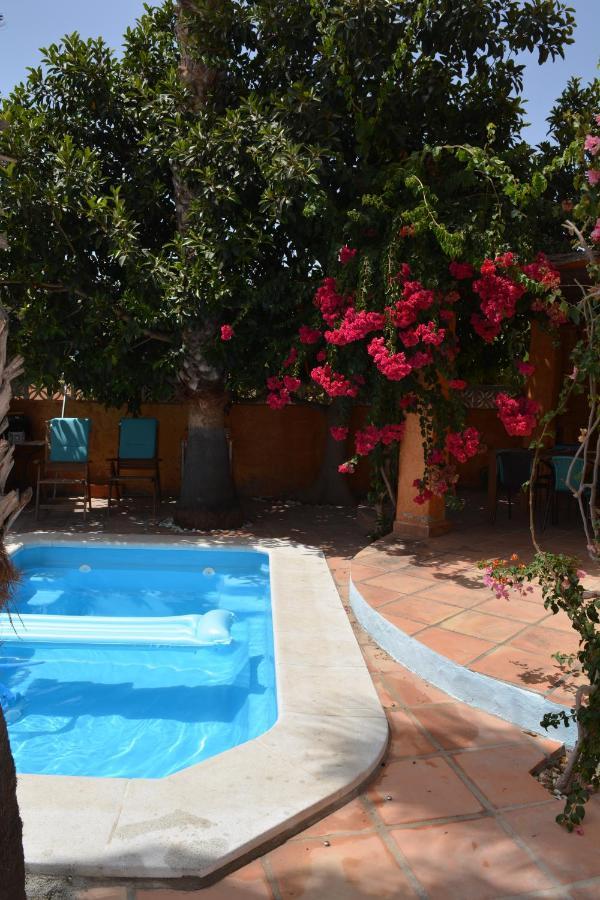 Con Jacuzzi Y Terraza Con Opcion A Piscina Privada * Almunecar