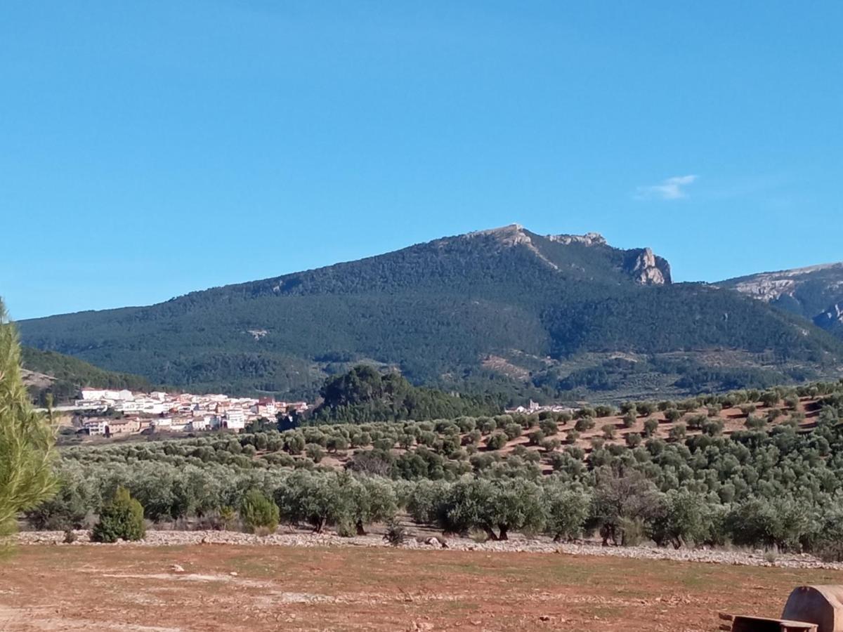 Casa Pinos * Siles