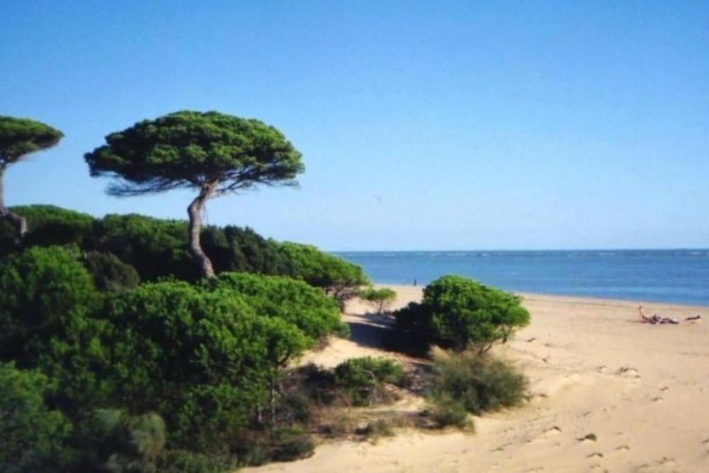 Espectacular Atico Duplex Con Vistas Al Mar Apartment El Portil