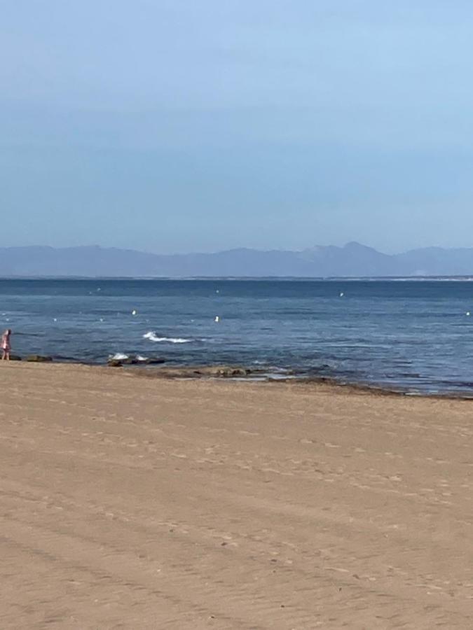 Francisco Casanovas Torrevieja