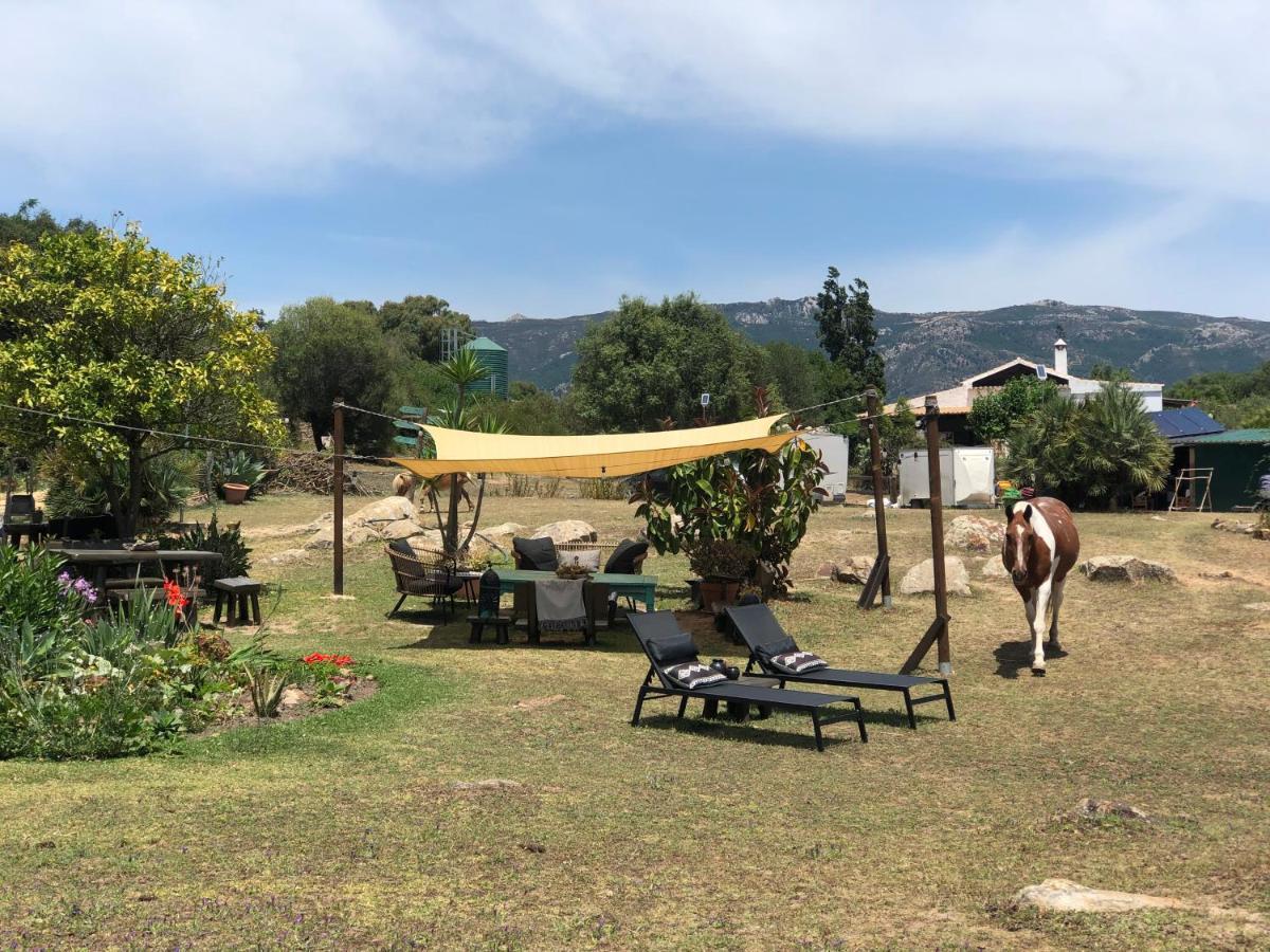 Eco Spirit Luxury tent