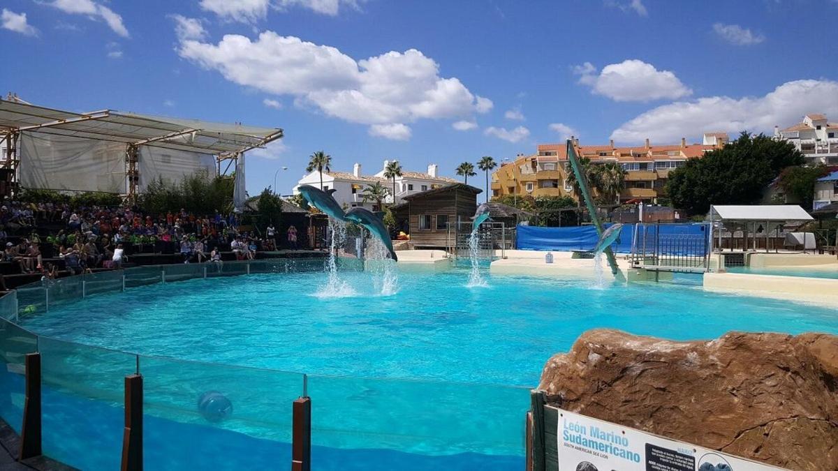 Sunny Aquario Apartamento