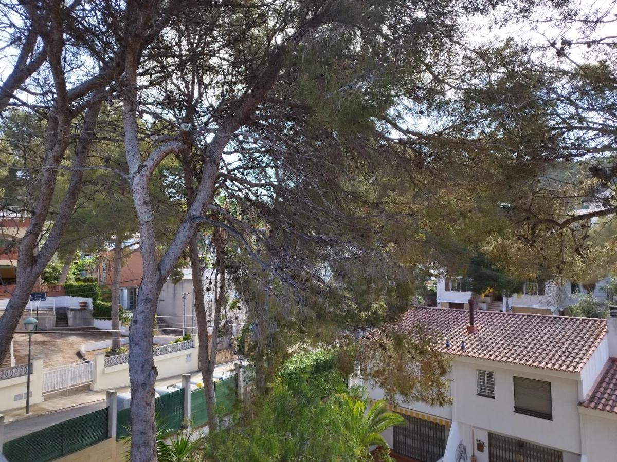 Casa De Los Pinos Cala La Mora Holiday home *