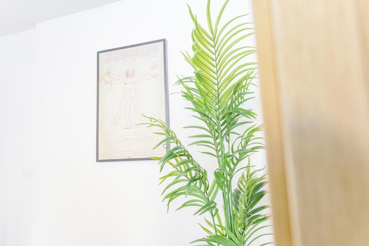 Apartamento Moott Homes Casa De Leones Apto 2 Almería