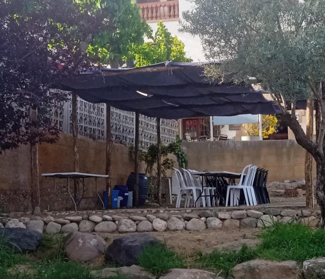 Farm stay L'olivera
