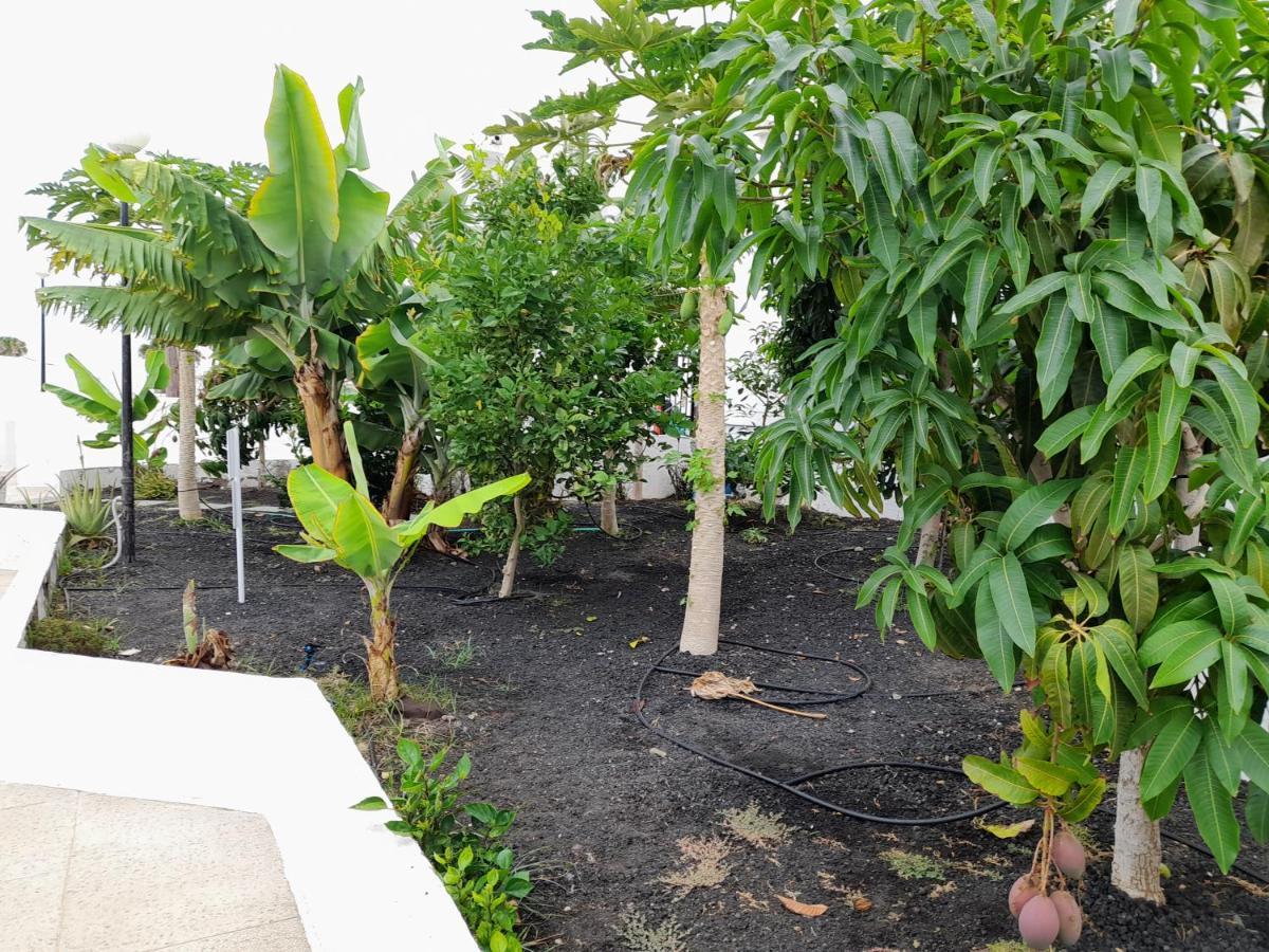 Pure Life Bungalow * Mogan