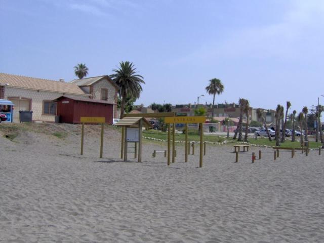 La Kentia