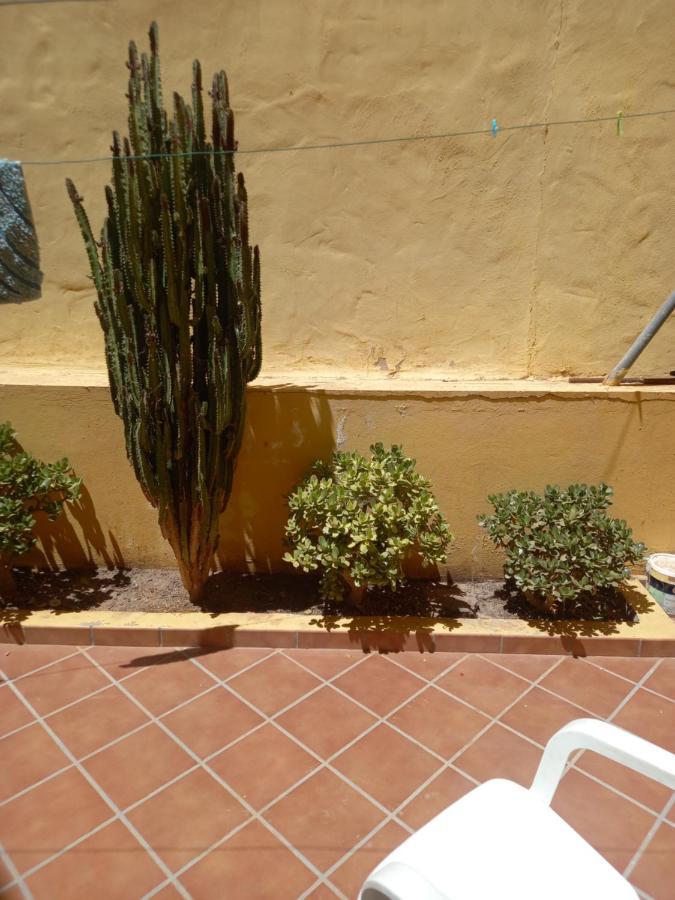 Sun & Apartamento *