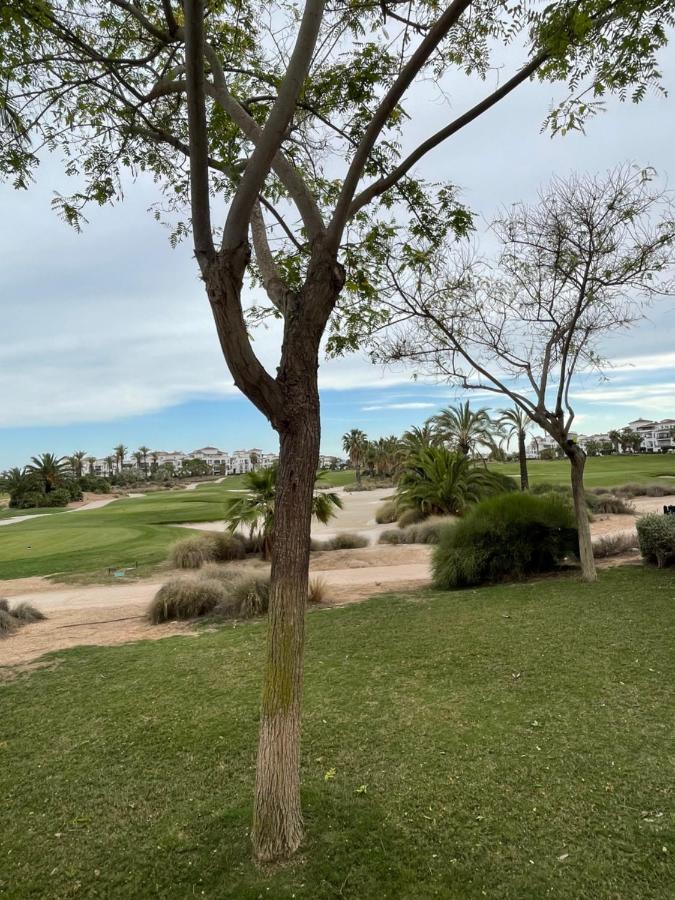 De Lujo En Planta Baja Con Piscina En La Torre Golf