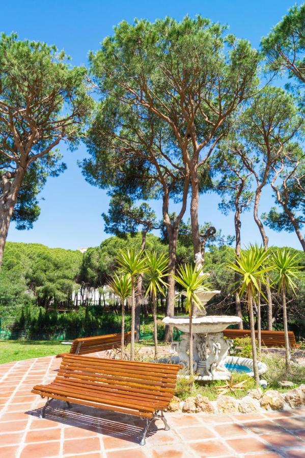 Apartment 1 Line Beachfront With Stunning Sea View