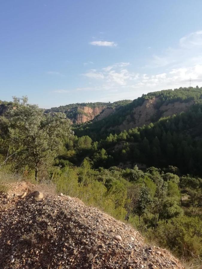 Farm stay L'olivera Castellbisbal