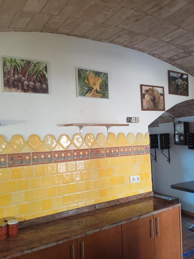 L'olivera Farm stay Castellbisbal