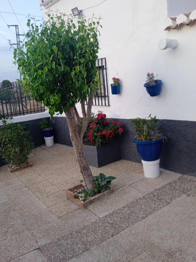 La Cueva De *