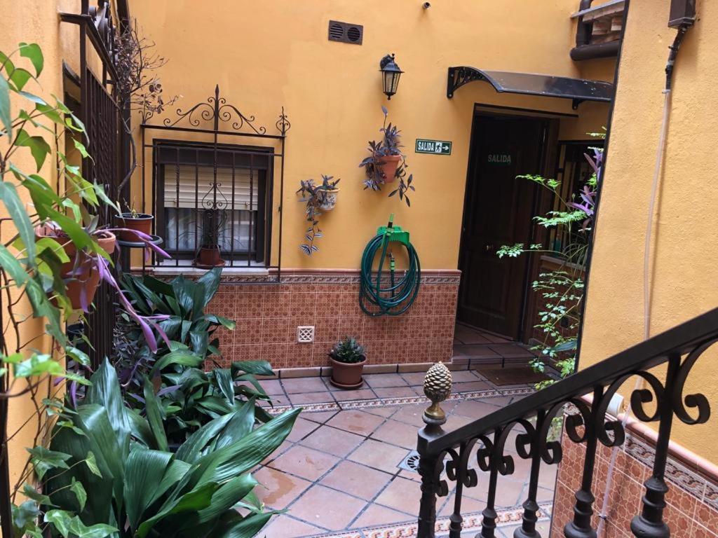 Precioso Y Tranquilo En * Toledo