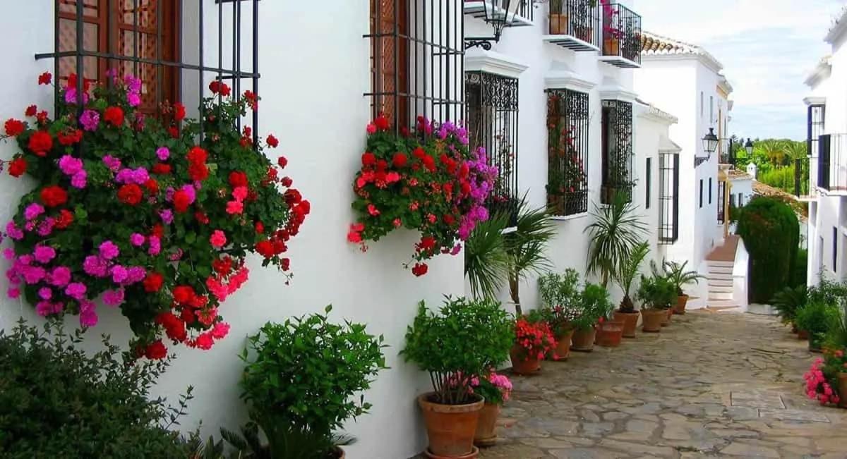 Tiphareth Pensión Marbella