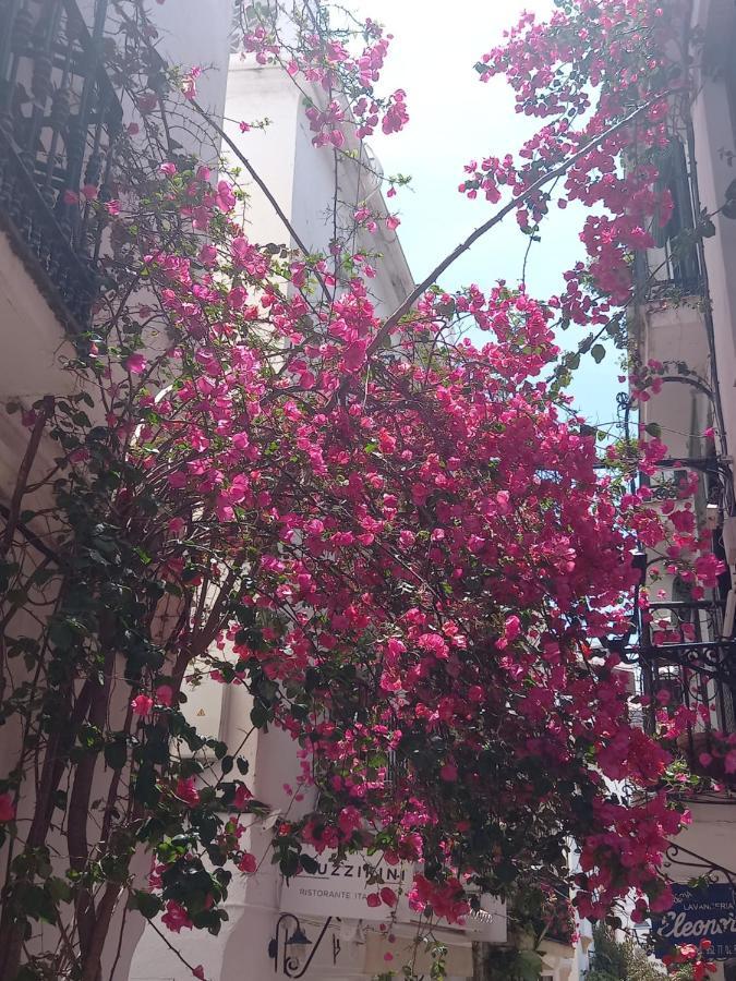 Precioso Y Acogedor ático Old Town * Marbella