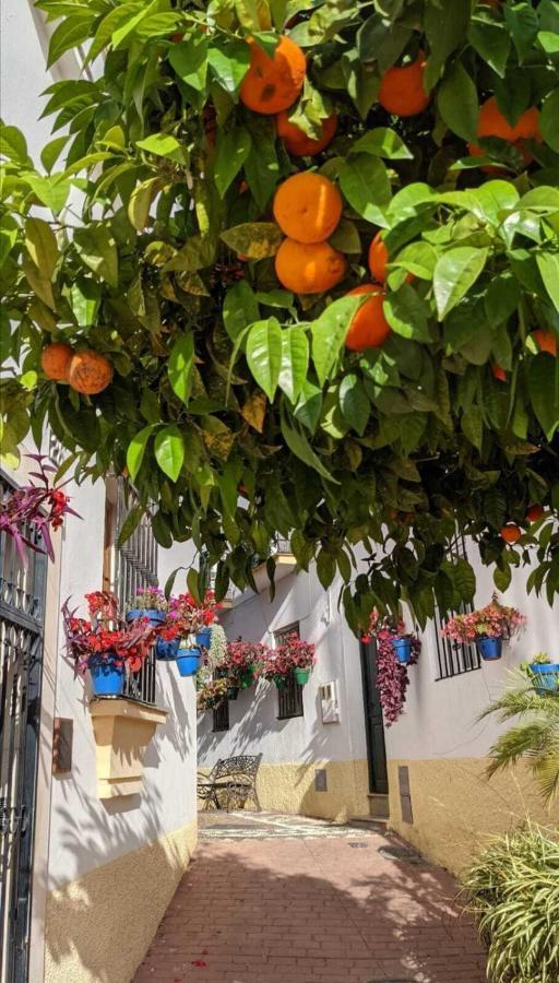 Сasa de vacaciones Casa Gibraltar