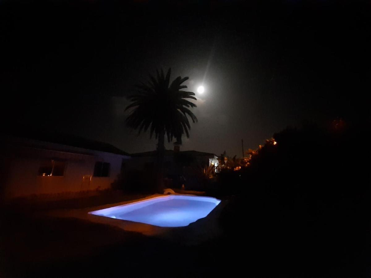Apartment Moon In The Garden *