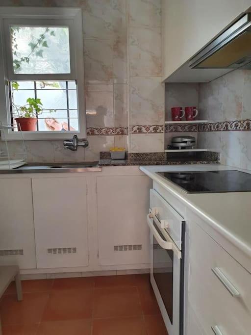 Apartamento Luminoso Con Patio Y Jardin Puerto de la Cruz (Tenerife)