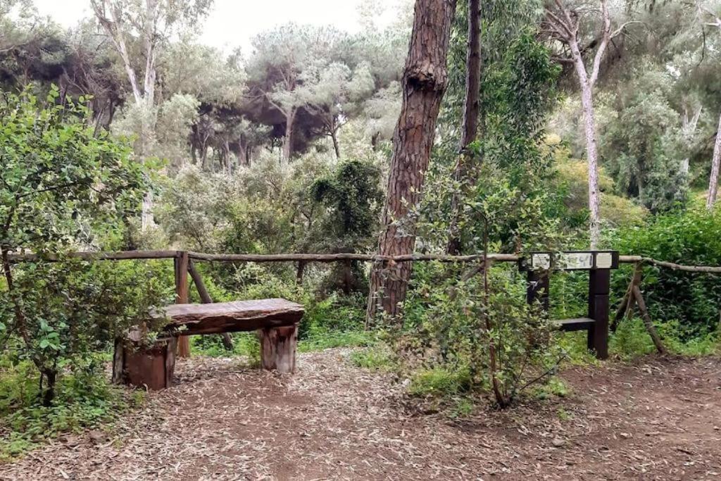 Malaga, Andalucia, Marbella - Mijas Costa, Primera Linea De Playa * Sitio de Calahonda