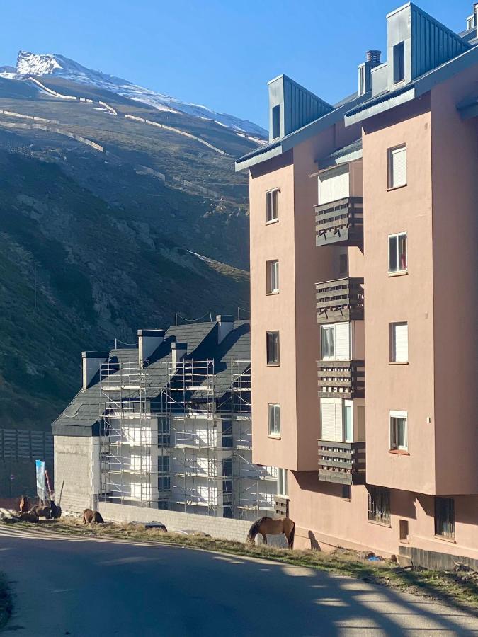 Saint Moritz Premium * Sierra Nevada