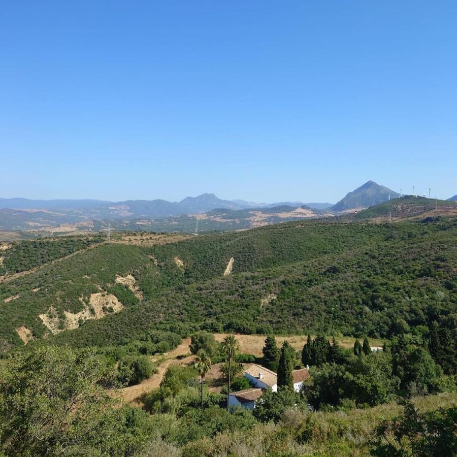 The Wild Olive Andalucia Agave Guestroom Farm stay