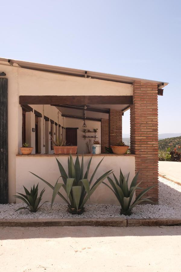 Farm stay The Wild Olive Andalucia Agave Guestroom Casares