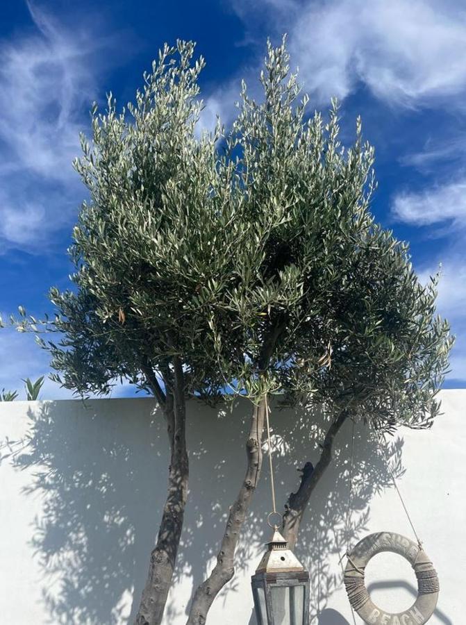 Villa La Hubara *