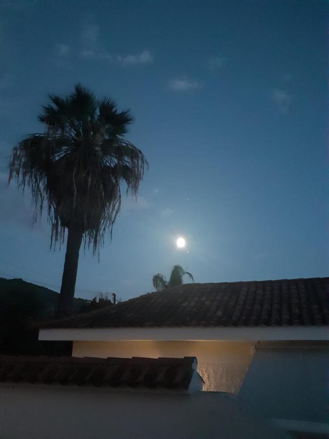 Apartment Moon In The Garden