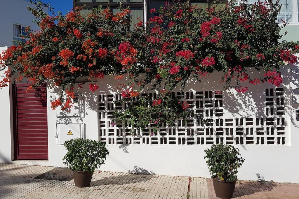 Apartamento Luminoso Con Patio Y Jardin *