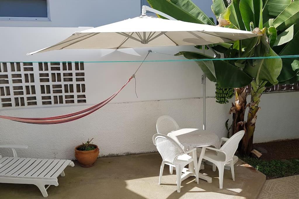 Luminoso Con Patio Y Jardin Apartamento *