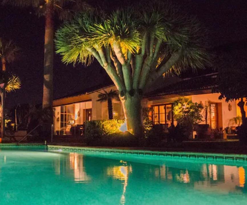 Lechuza Villa *