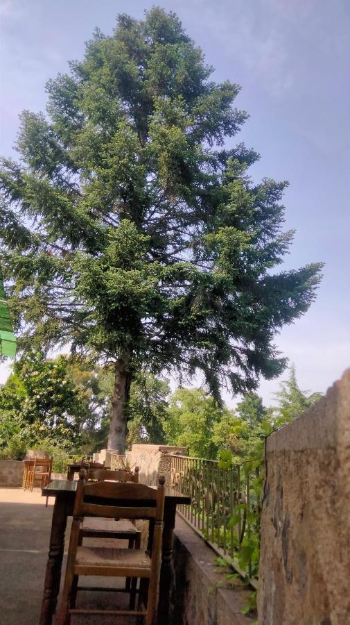 Rural Sant Llop *