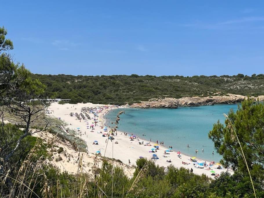 Precioso En Primera Linea De Mar Apartamento *