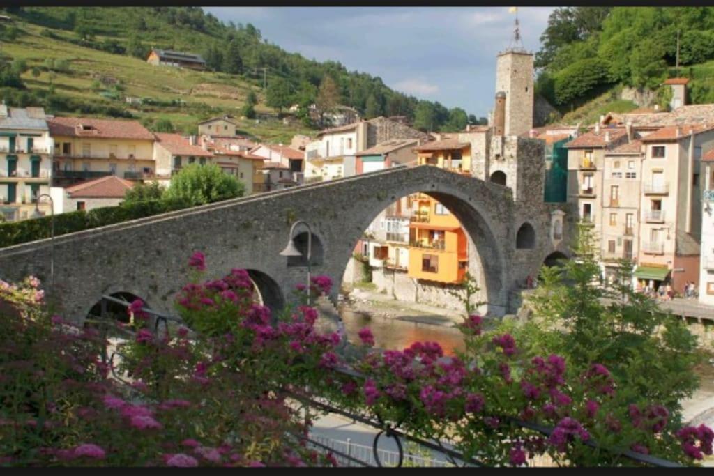 Al Cor De La Vall De Camprodon Apartment