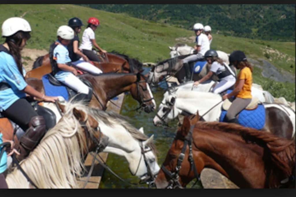 Al Cor De La Vall De Camprodon